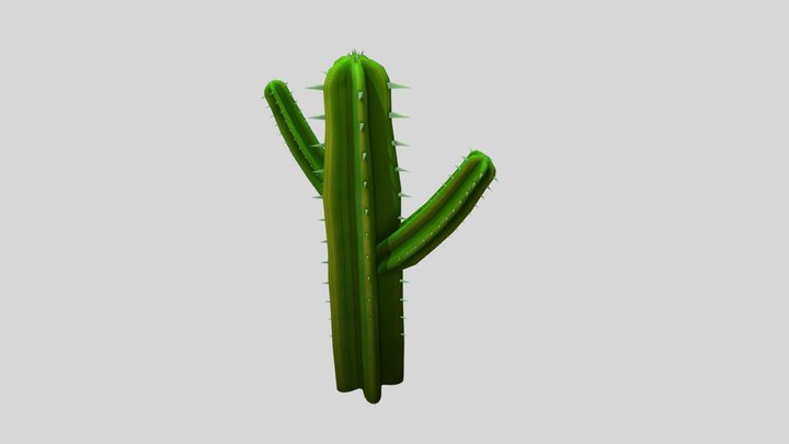 cactus 3D Model