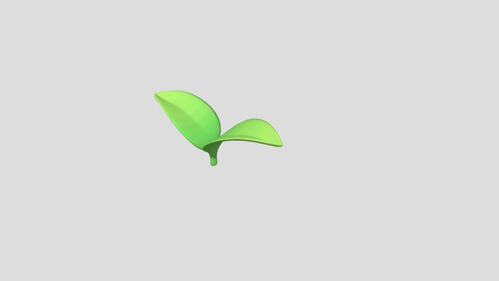 Leaf 3D Model