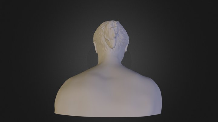 Сканирование_головы_женщины 3D Model