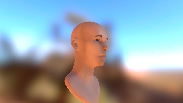 CABEZA FINAL 3D Model