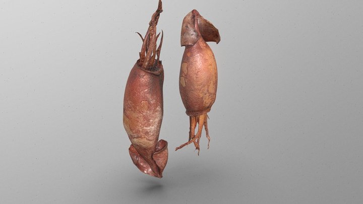 set of 2 squids ready to be eaten 3D Model