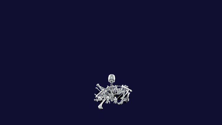 Collapsing Skeleton Animated 3D Model