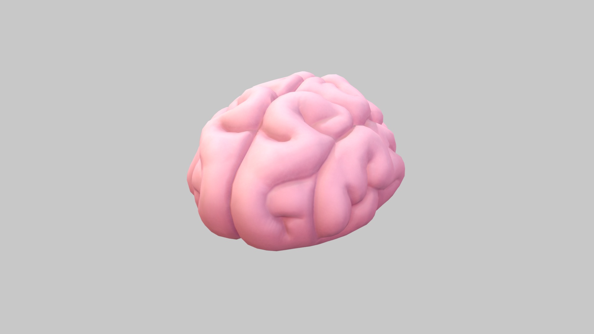 3D model Brain - This is a 3D model of the Brain. The 3D model is about a hand with a white background.