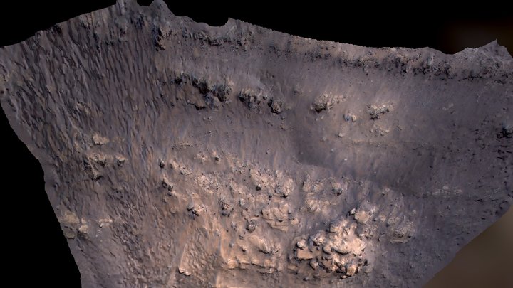 Surface of Mars 3D Model