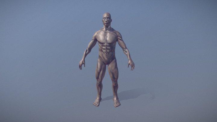 Bípedo 3D Model