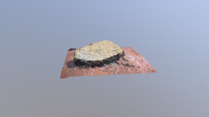 Scratch Stone 3D Model