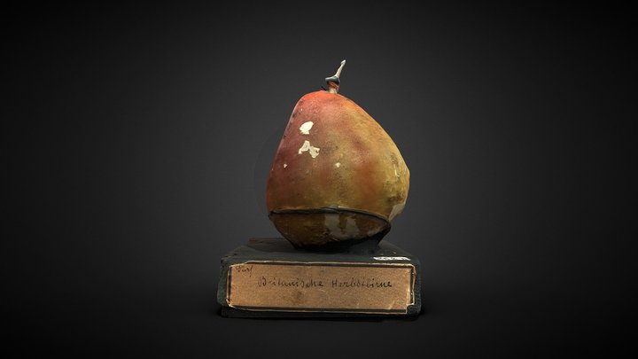 Pear Britanische Herbstbirne. Durfeld. 3D Model