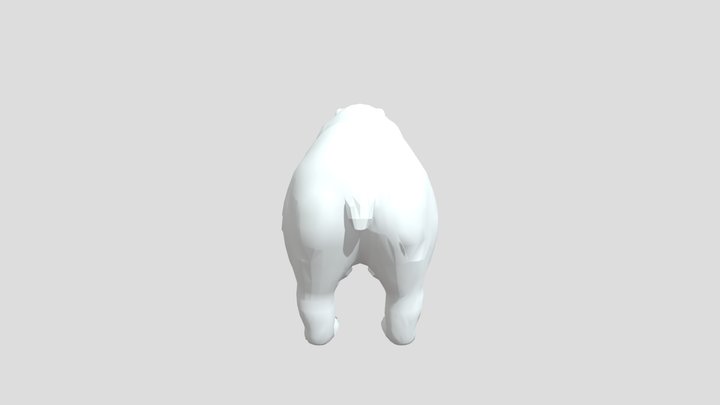 grizzly-bear-realistic-bear-3d-model 3D Model