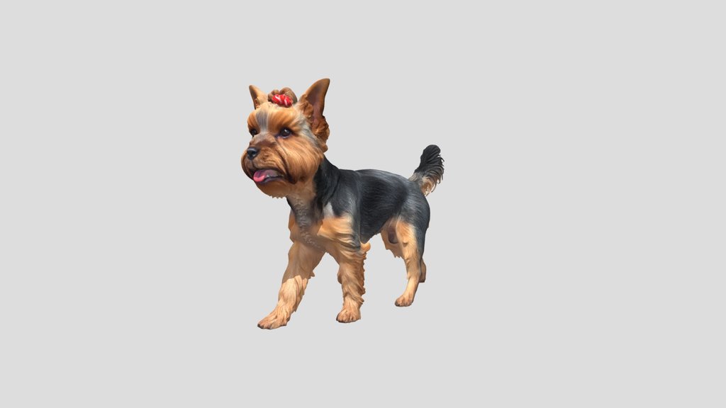 Yorkshire Terrier In A Red Bow