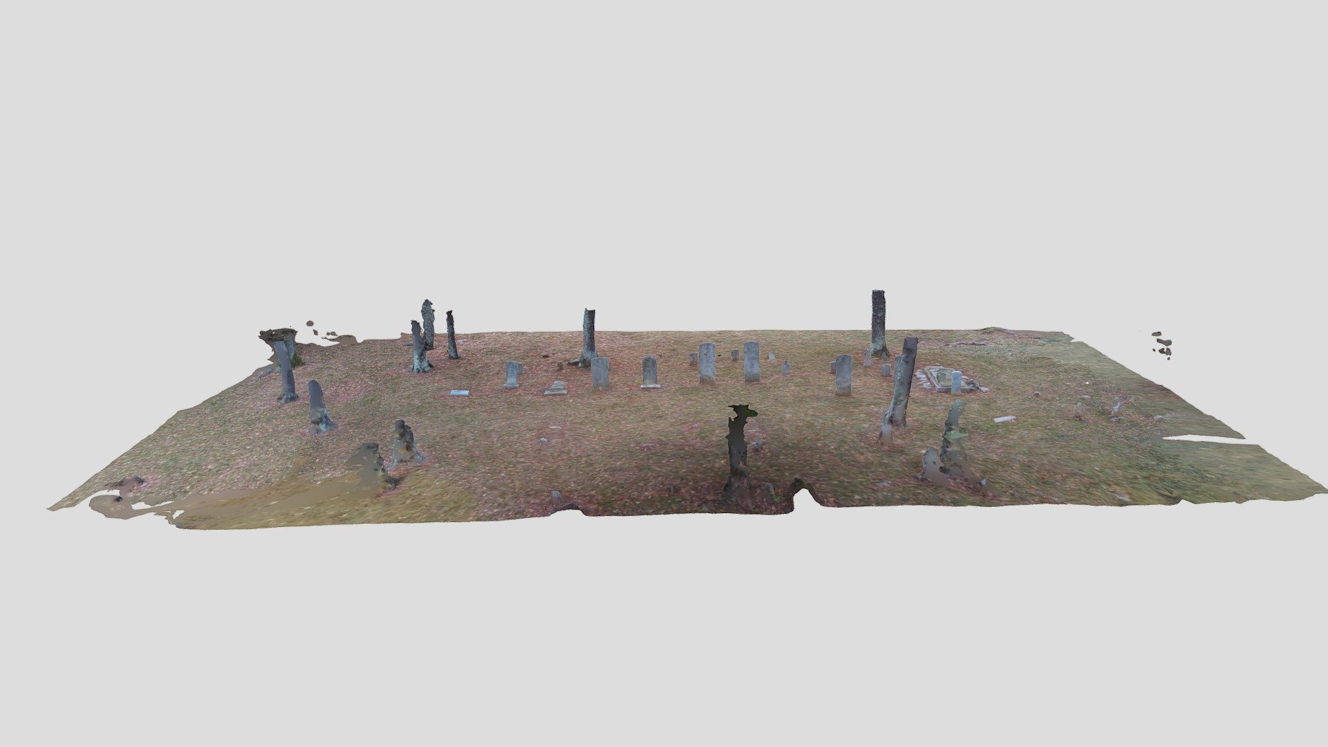 Taylor Cemetery