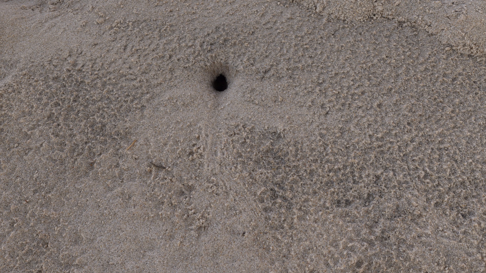 3D model Ghost Crab Burrow (test raw scan). - This is a 3D model of the Ghost Crab Burrow (test raw scan).. The 3D model is about a hole in the sand.