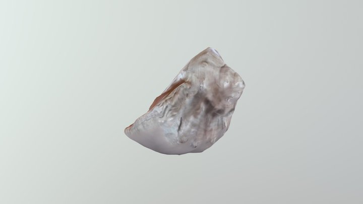 test 3D Model