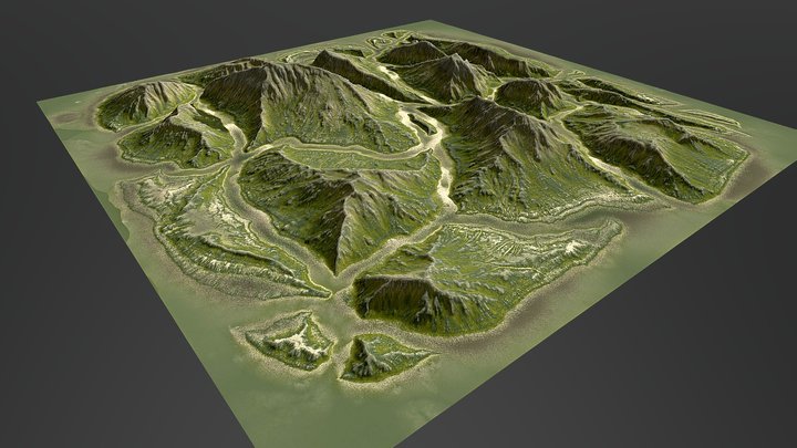 network_of_paths 3D Model