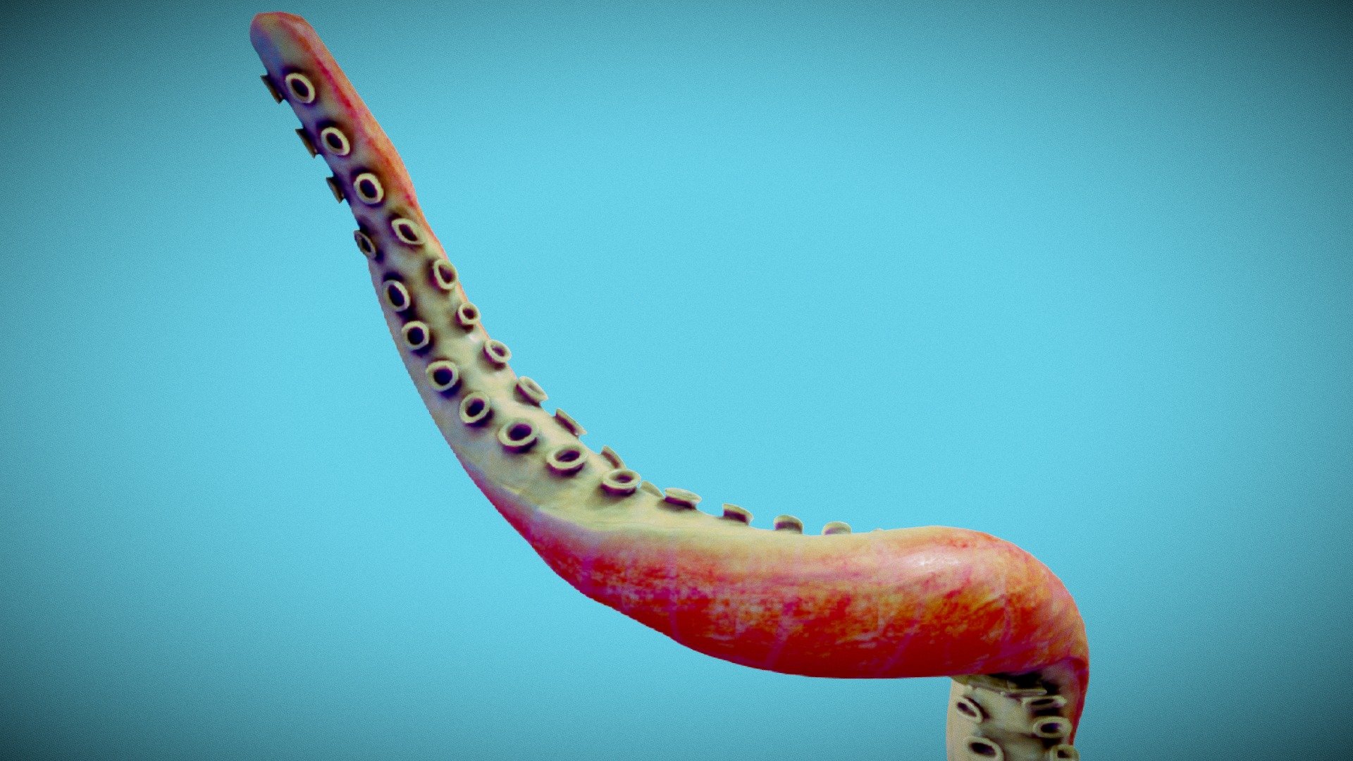 Tentacle riged - Download Free 3D model by defiat11 (@defiat11