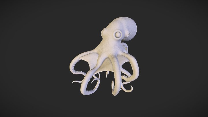 ZBrush Octopus Sculpt 3D Model