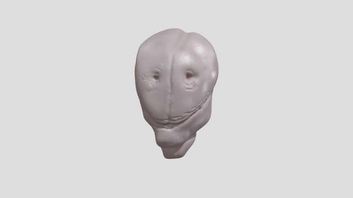 My model 3D Model