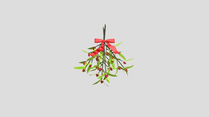 mistletoe3 3D Model