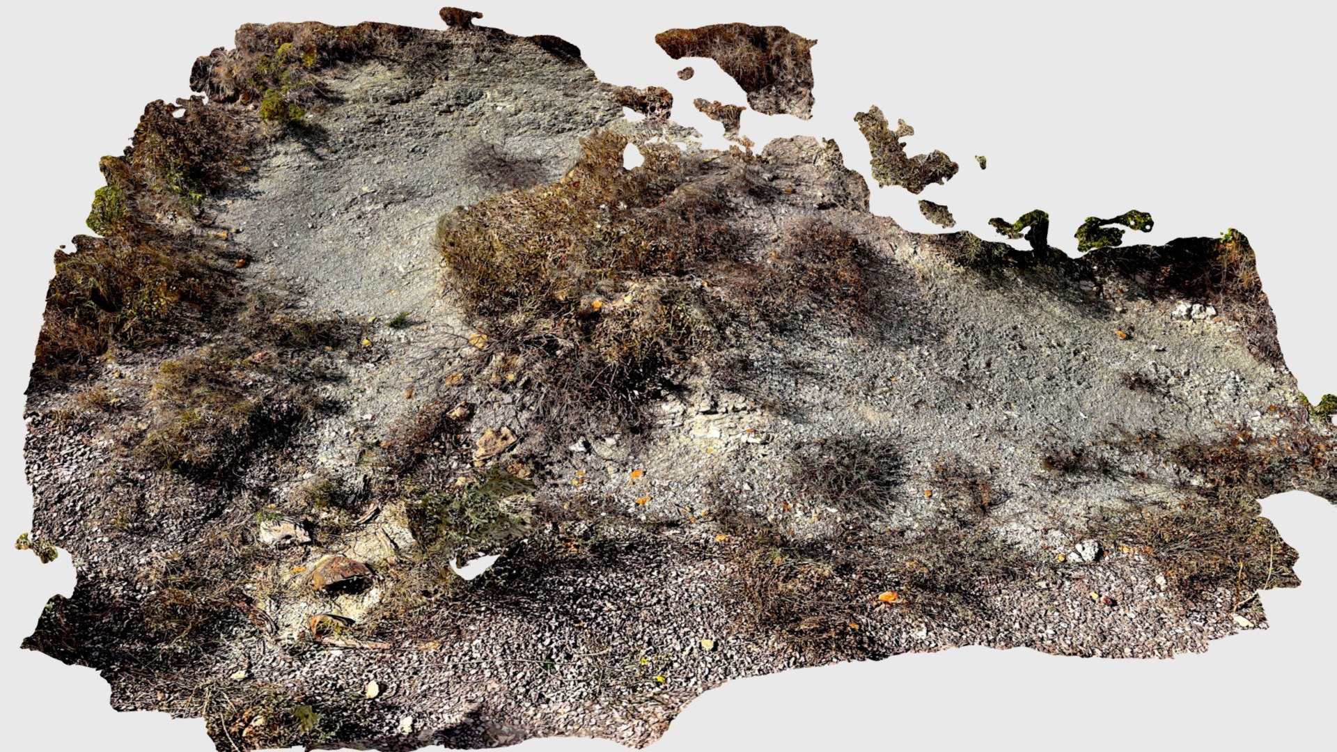 Affleurement sur le bord de la D77 à La Vineuse