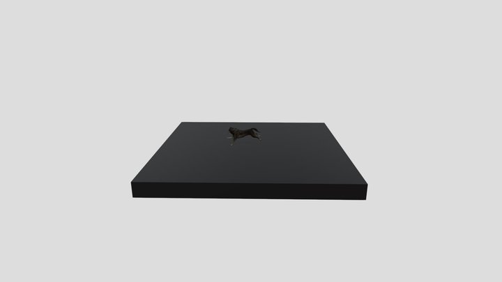 Wolf With Animations 3D Model