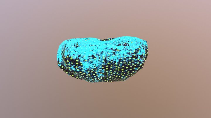 squiggly coral 2 green with teal top 3D Model