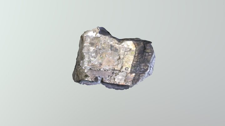 Grummin Wildcat 3D Model