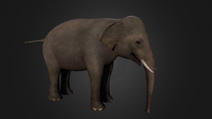 Elephant low poly model 3D Model
