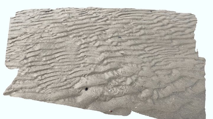 Rides de plage, bioturbations et traces de patt… 3D Model