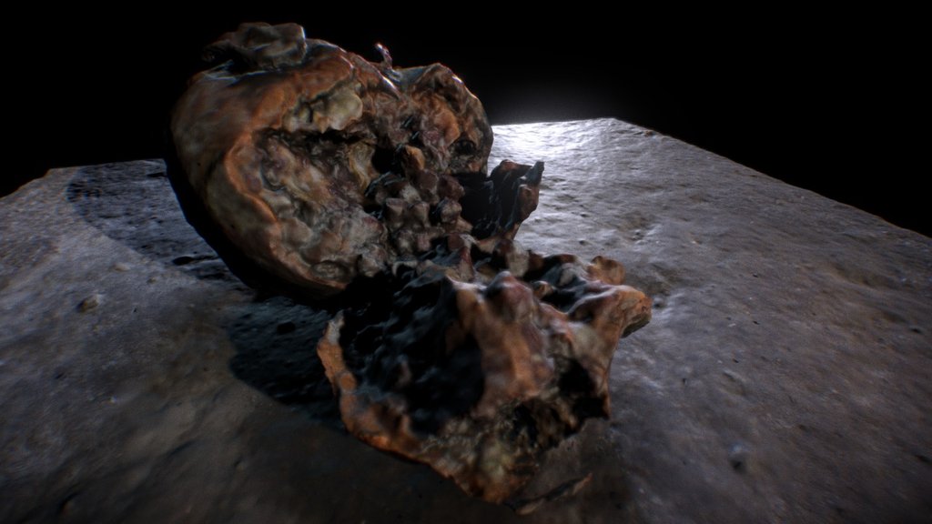 Rotten pomegranate