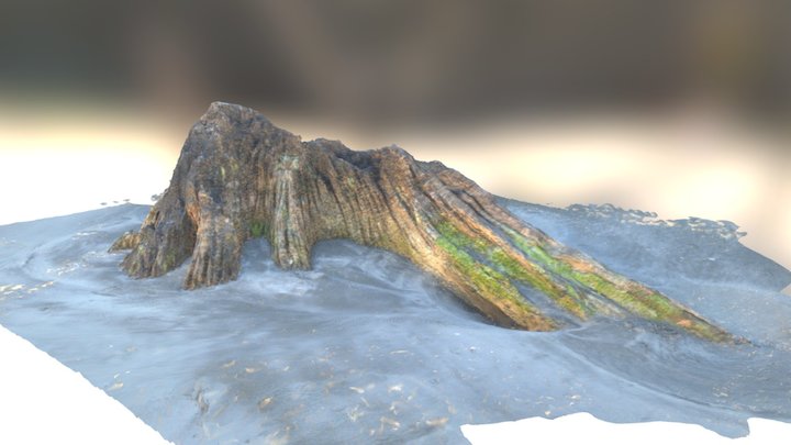 Driftwood on Ohope Beach, NZ 3D Model