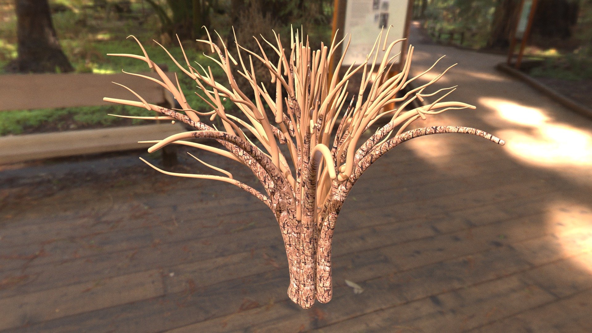 Baum
