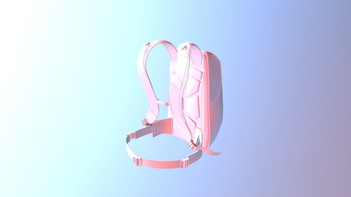 Bag Final 3D Model