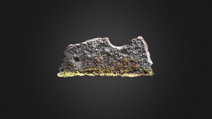 Inistioge: 67a Millstone fragment 3D Model