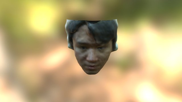 df8a5415-3d4a-4671-9ab3-3887dcffb326 3D Model