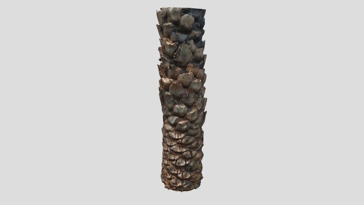 palm tree trunk photogrammetry 3D Model
