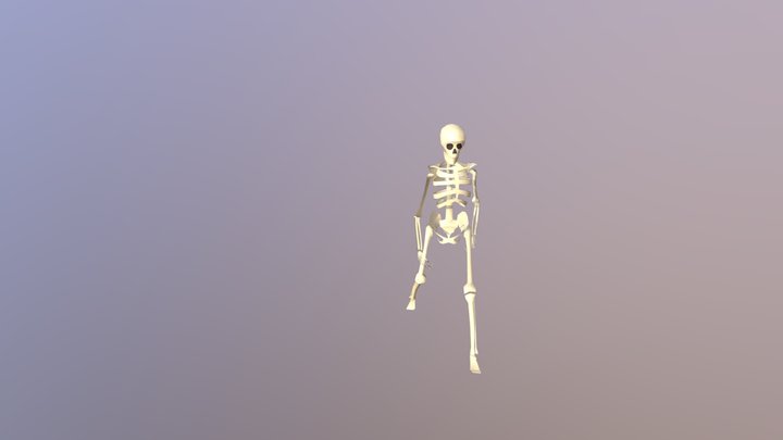 Skeleton 3D Model
