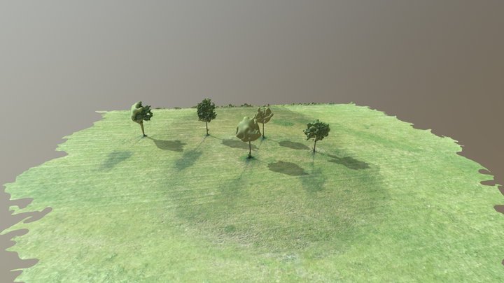 Bäume Simplified 3d Mesh 3D Model