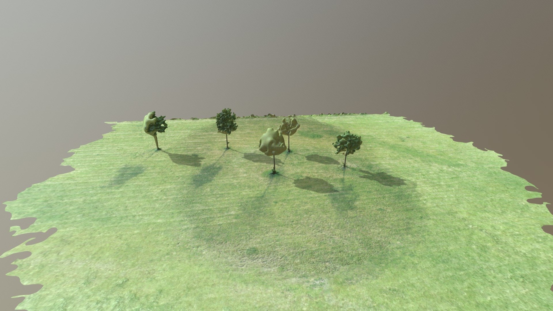 Bäume Simplified 3d Mesh