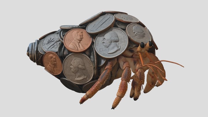Hermit Crab With Coins