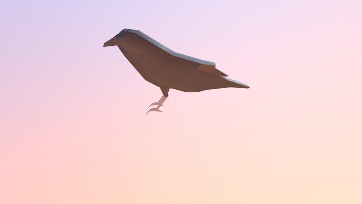 Crow Test 3D Model