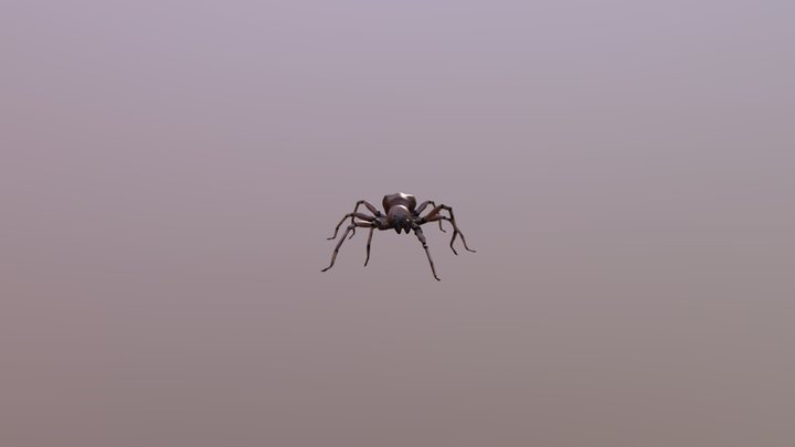 Spider Animated 3D Model