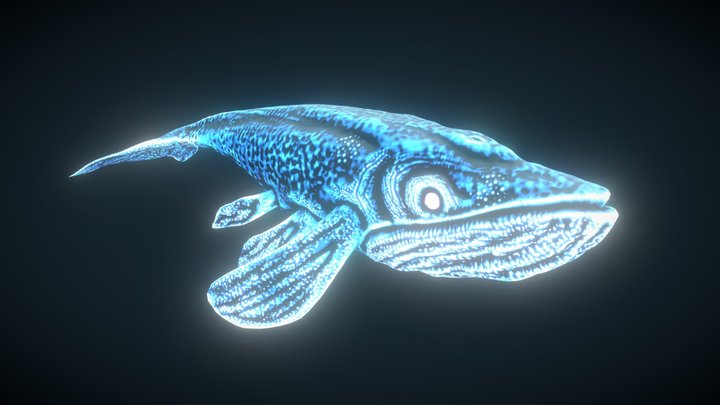 Fantasy Whale 3D Model