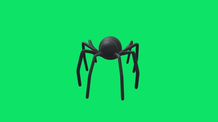spider