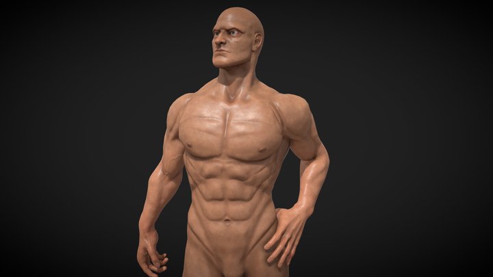 Male Nude - Anatomy Study 3D Model