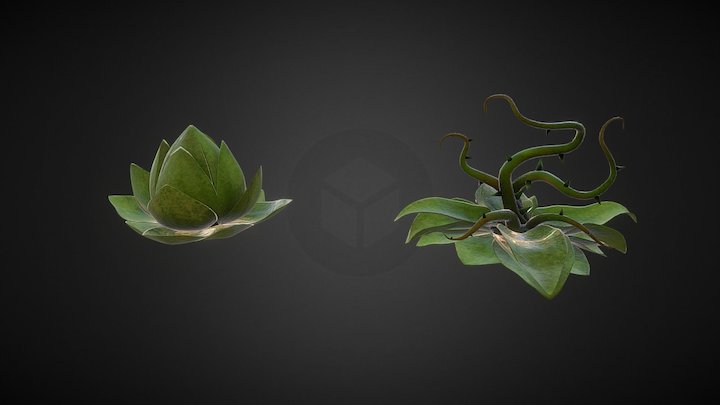 Roots 3D Model
