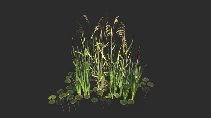 Modular Wetland Plants Set 01 3D Model