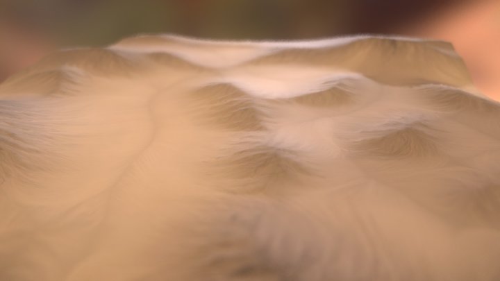 Desert Dune 3D Model
