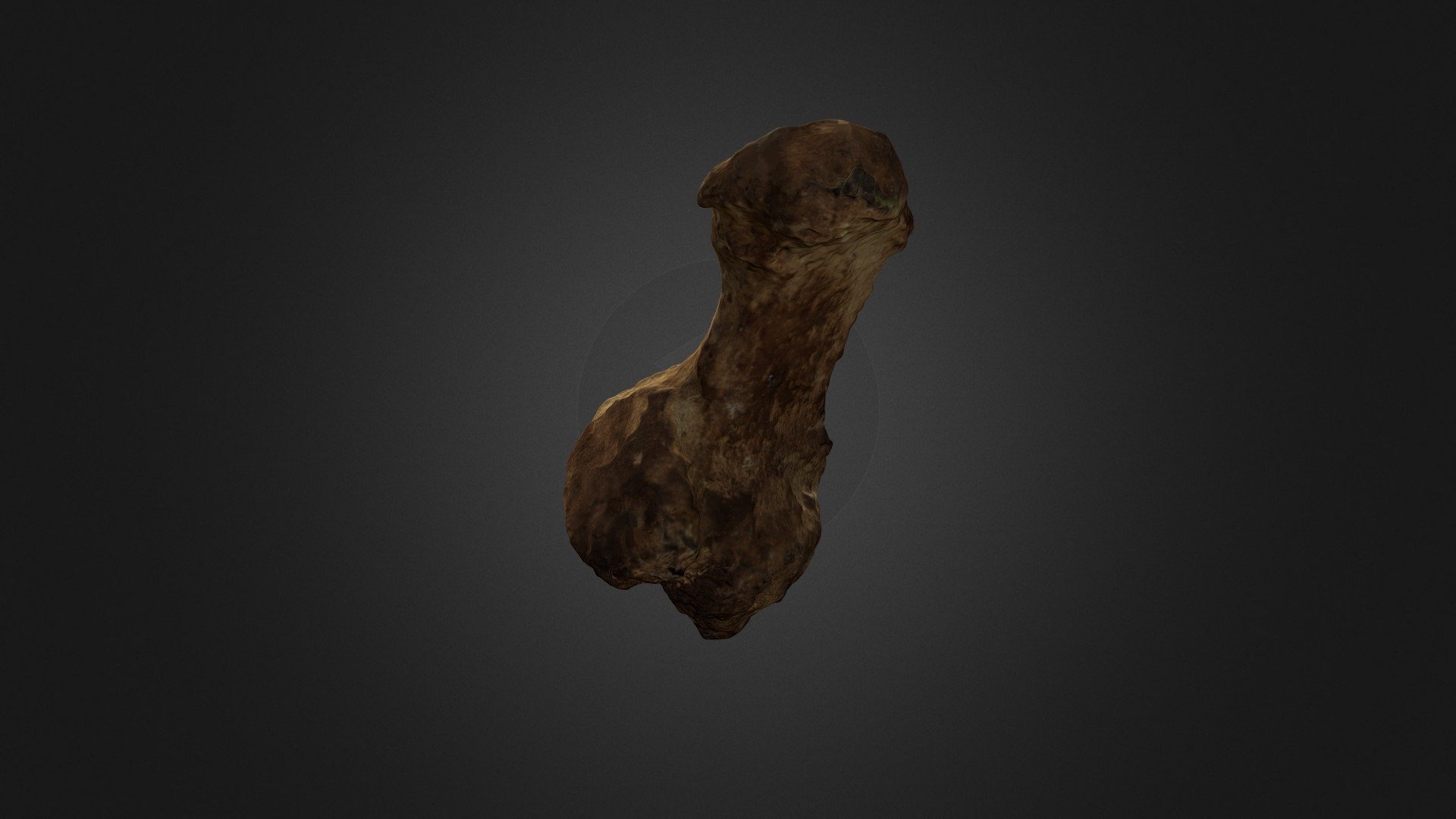 Hueso 6 Apofisis Vertebral OK