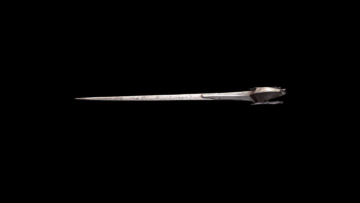 Pata (2014.33) 3D Model
