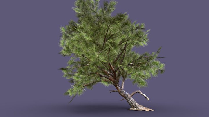 HIGH QUALITY TREE 3/6 – Modelo 3D gratuito STL