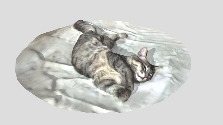 ไอดื่อ 3D Model